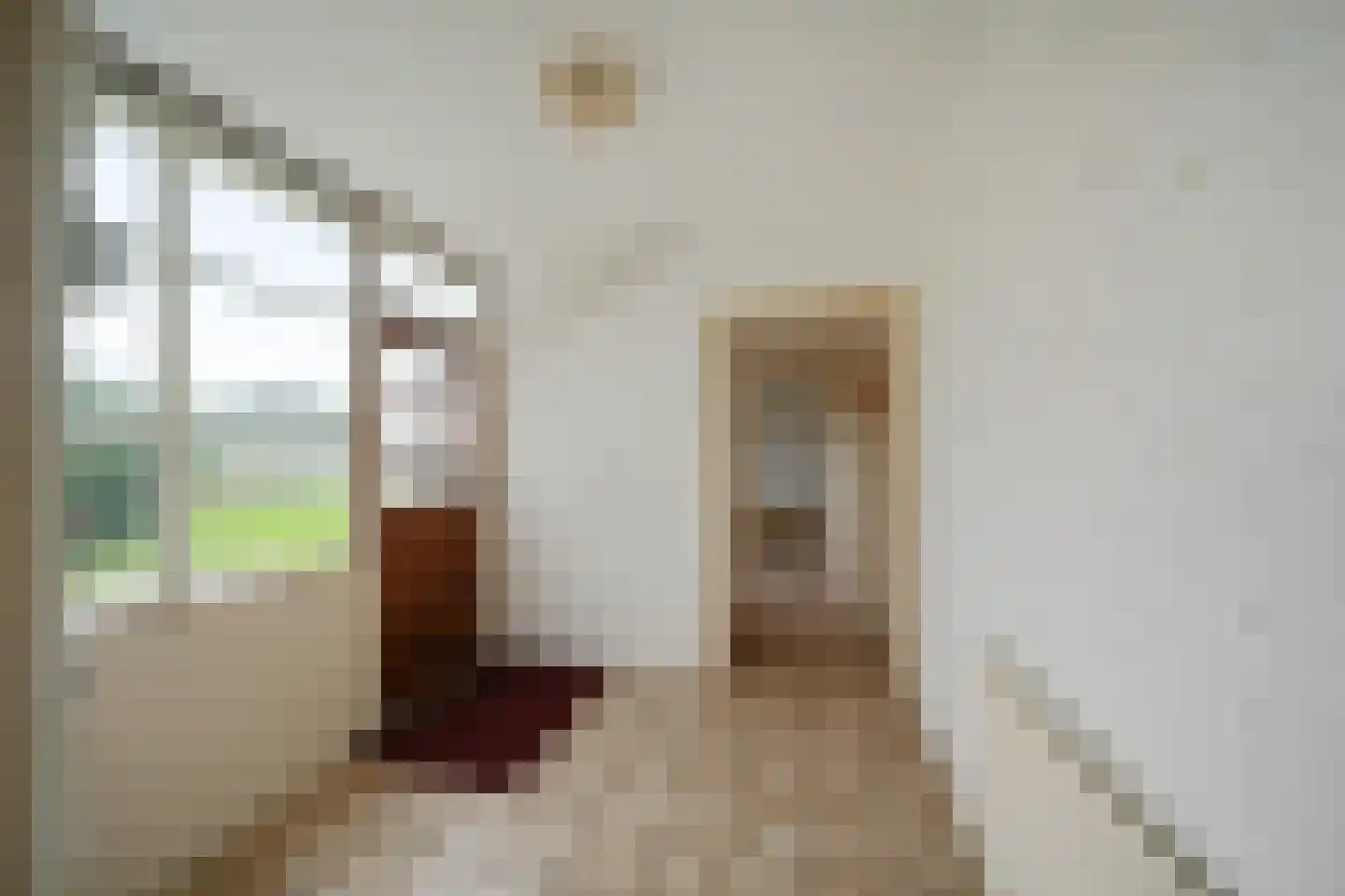 Schilderweg 206 Oudeschild thumbnail 11