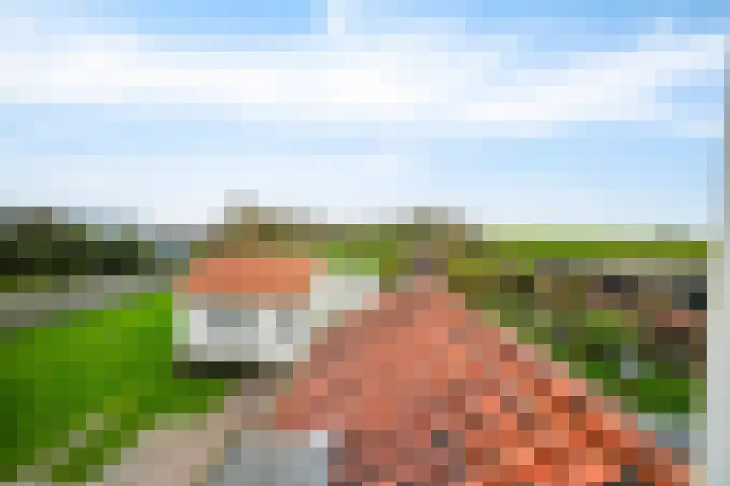 Schilderweg 206 Oudeschild thumbnail 16