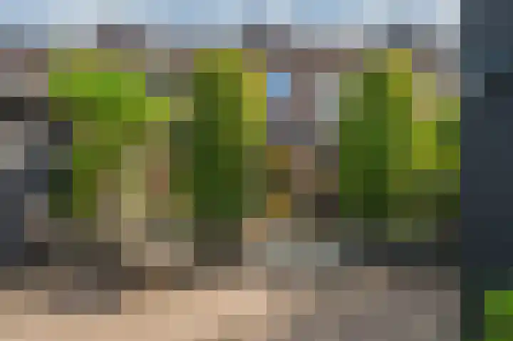 Schildgronden 3 Hoofddorp thumbnail 45