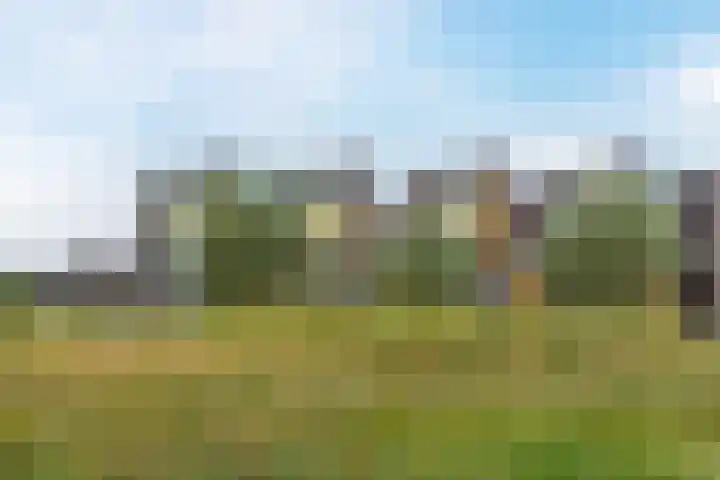 Schildgronden 3 Hoofddorp thumbnail 52