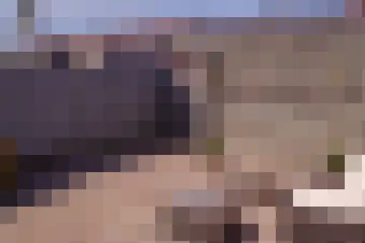 Schildgronden 37 Hoofddorp thumbnail 30