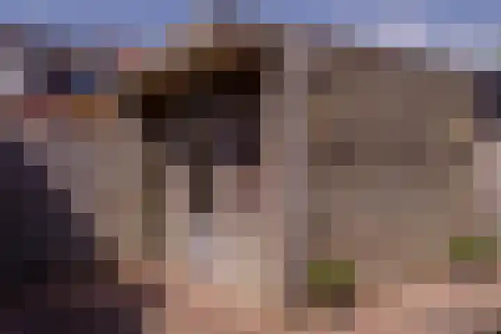 Schildgronden 37 Hoofddorp thumbnail 31