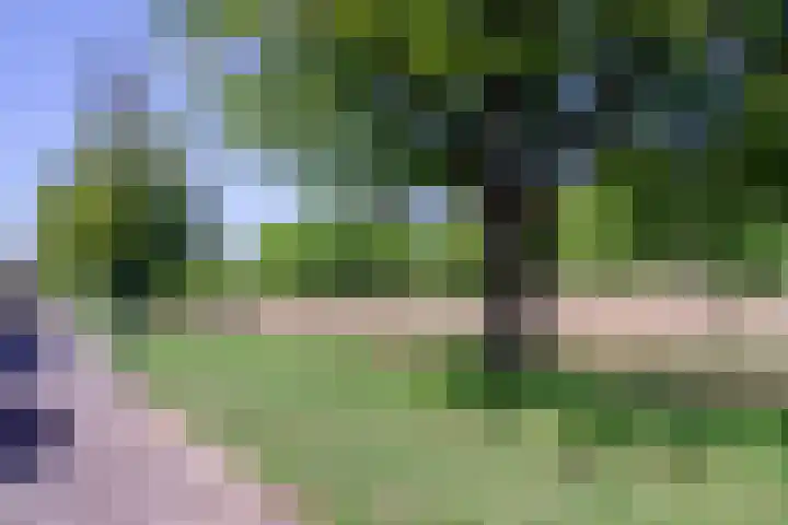 Schildgronden 37 Hoofddorp thumbnail 36