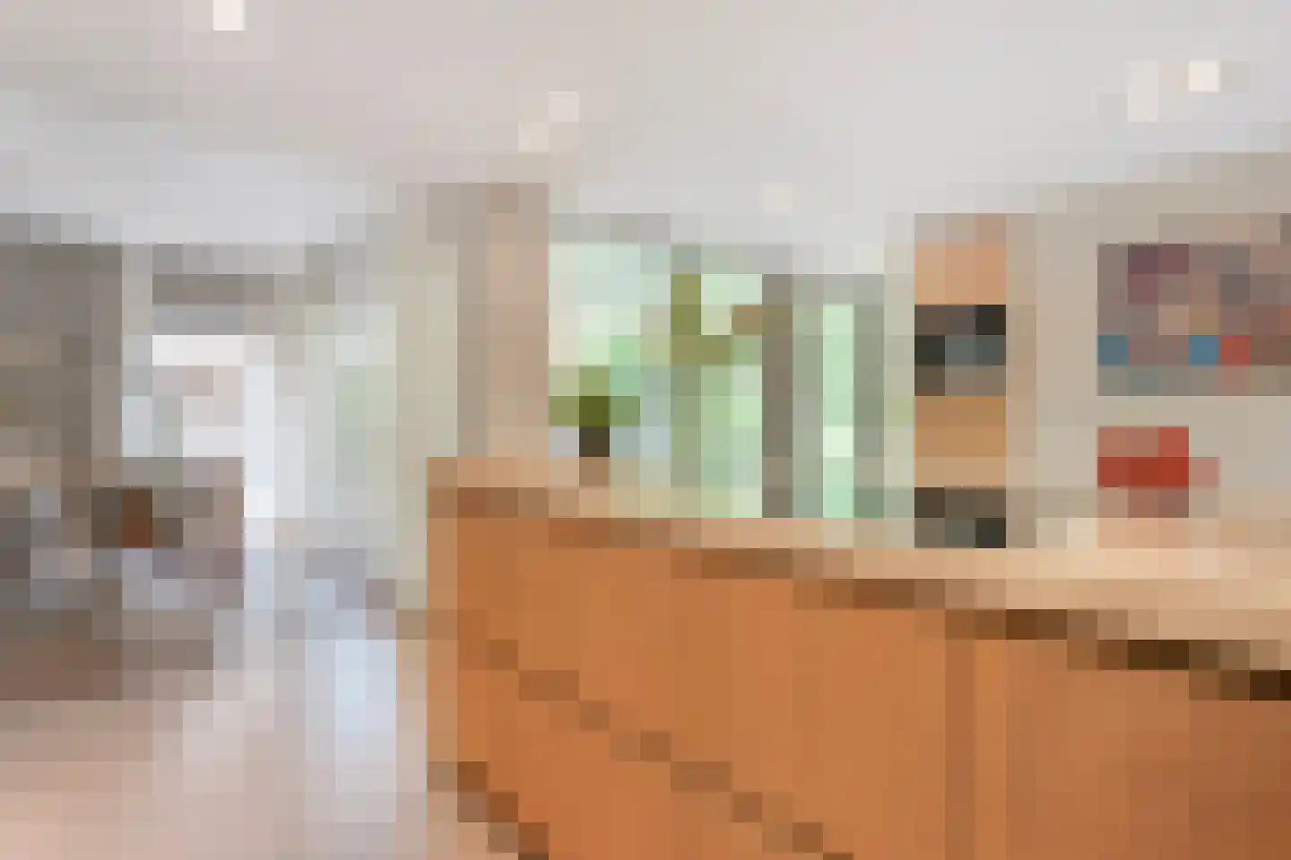 Schildhuisstraat 7 Tubbergen thumbnail 11