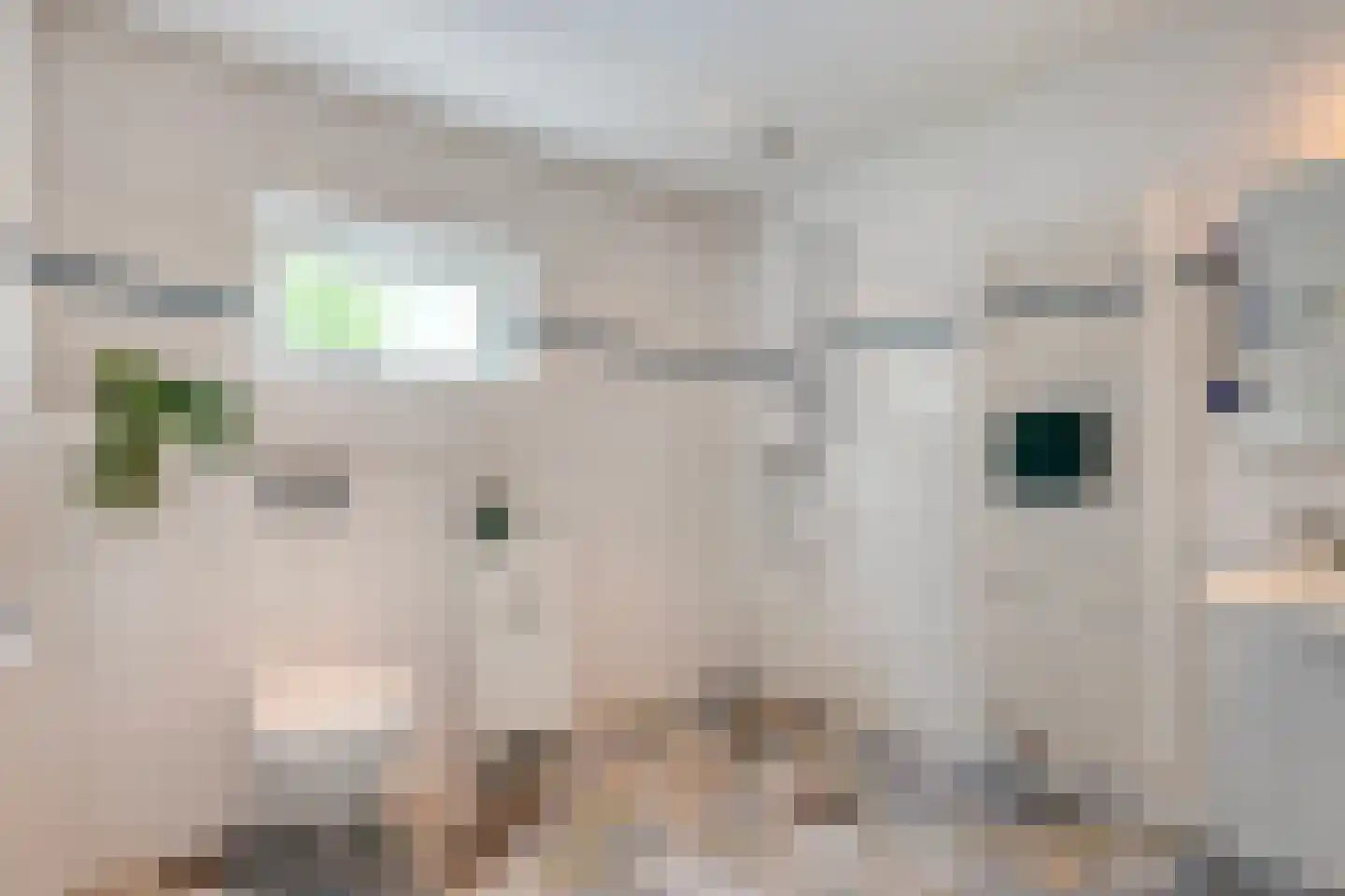 Schildhuisstraat 7 Tubbergen thumbnail 18