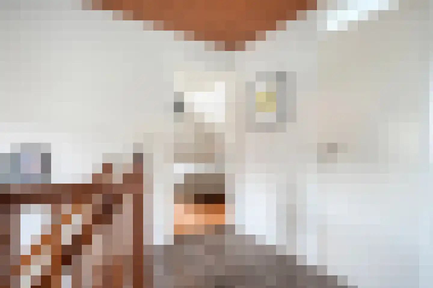 Schildhuisstraat 7 Tubbergen thumbnail 20