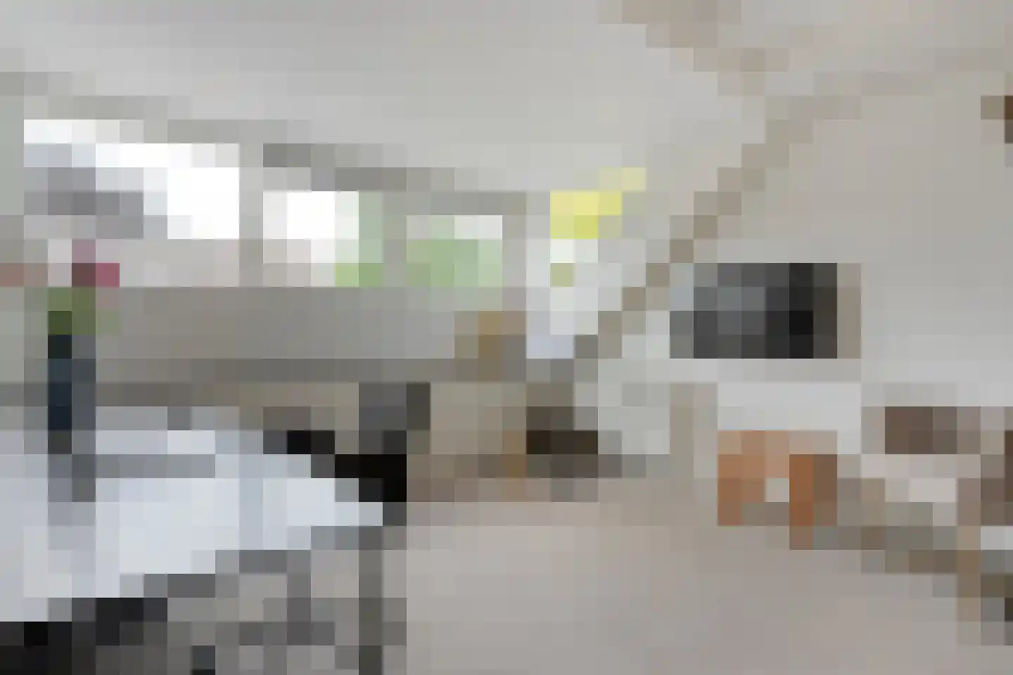 Schildhuisstraat 7 Tubbergen thumbnail 23