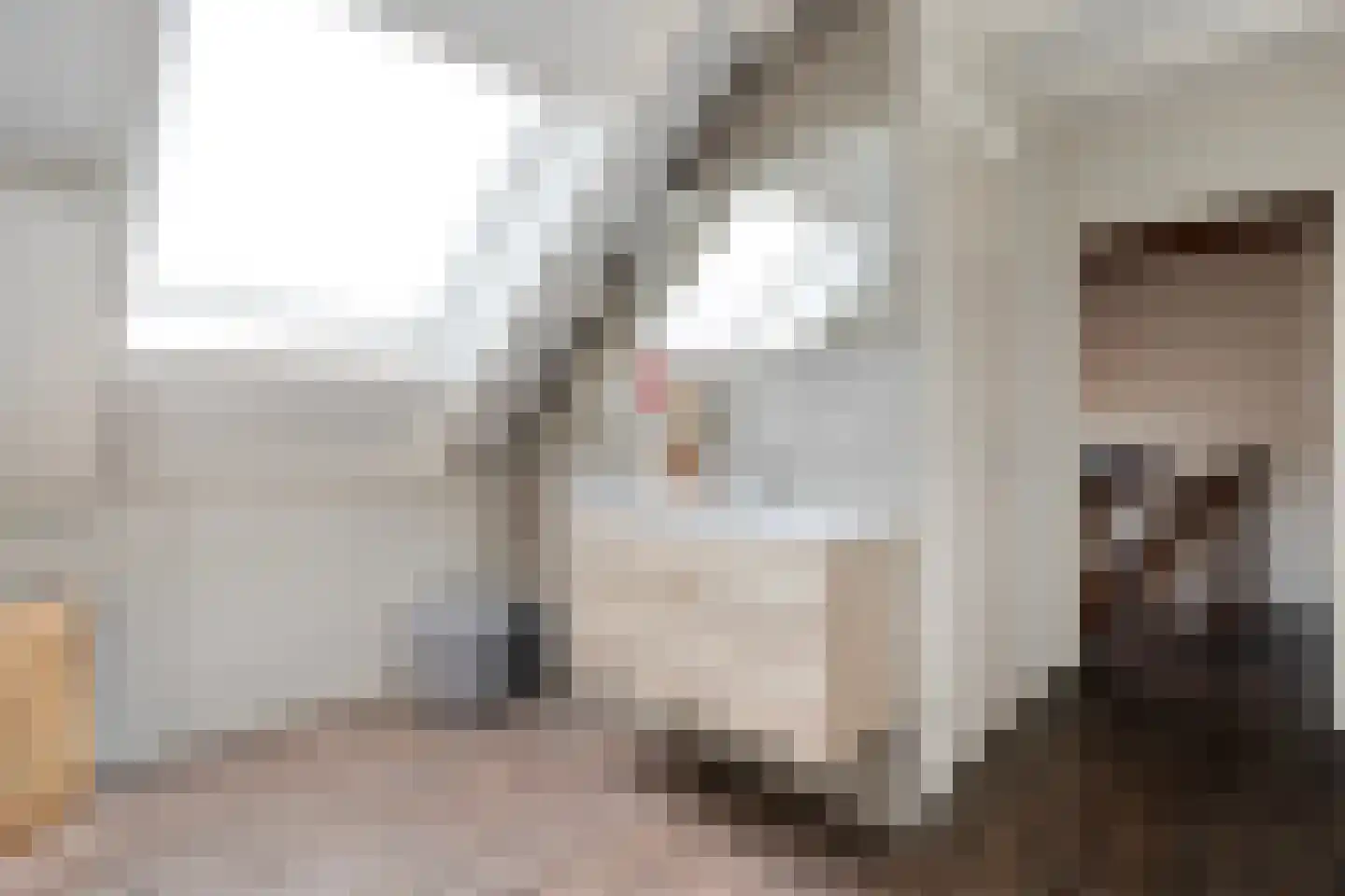 Schildhuisstraat 7 Tubbergen thumbnail 26