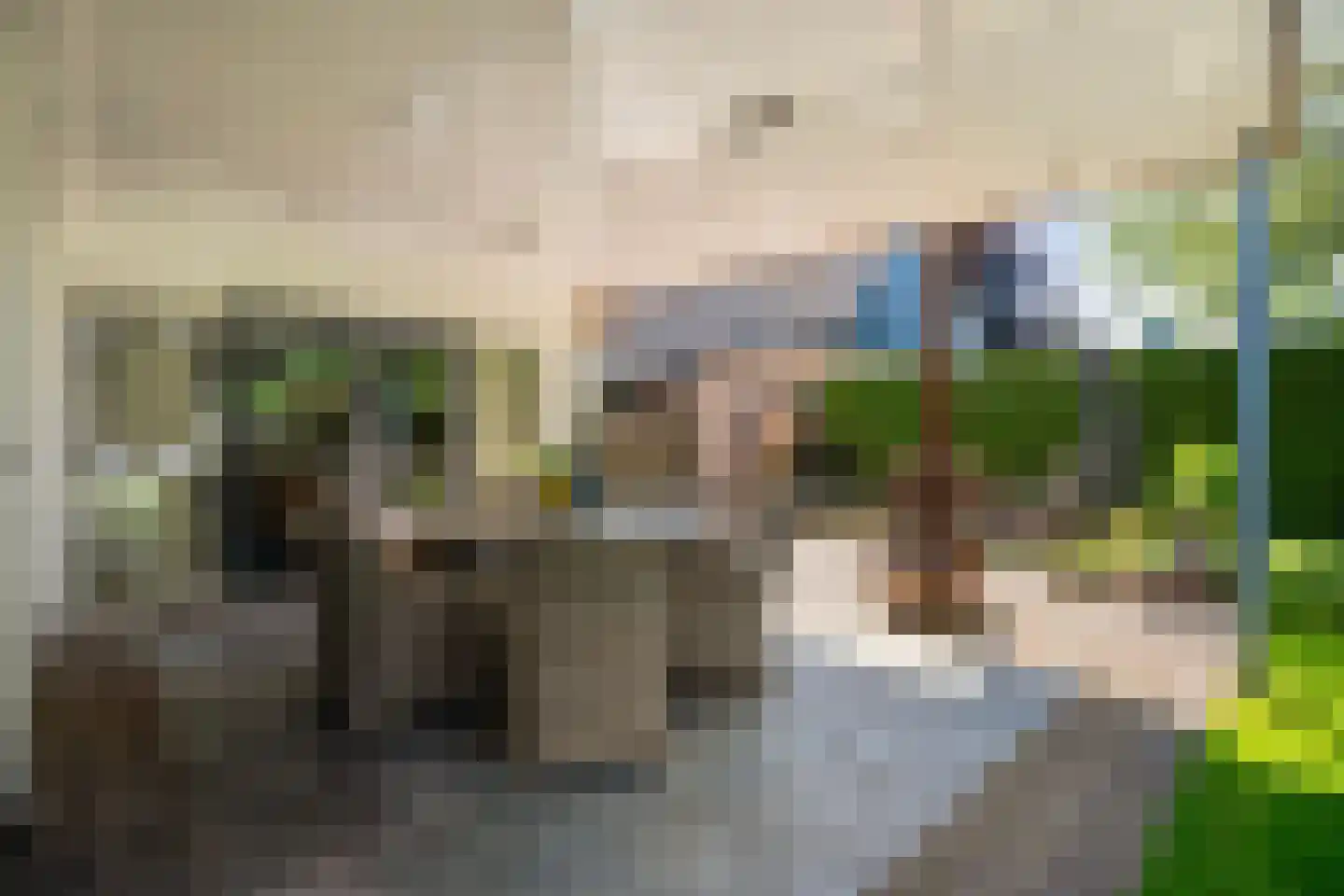 Schildhuisstraat 7 Tubbergen thumbnail 32