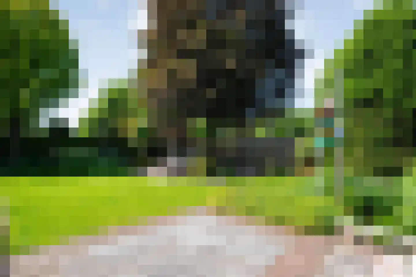 Schildhuisstraat 7 Tubbergen thumbnail 34