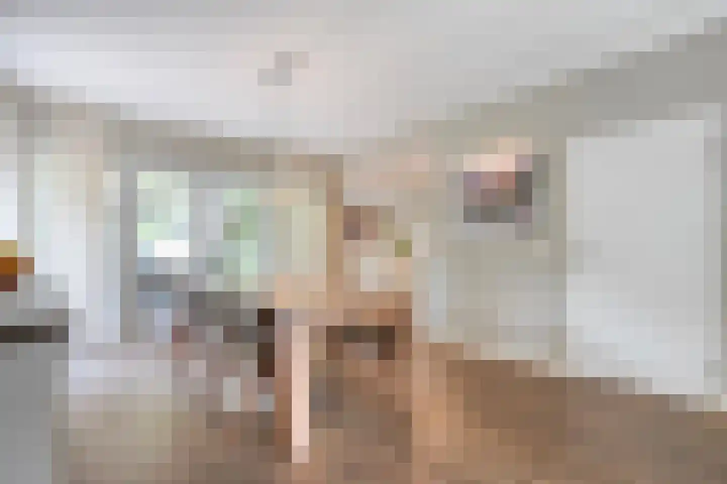Schildhuisstraat 7 Tubbergen thumbnail 7