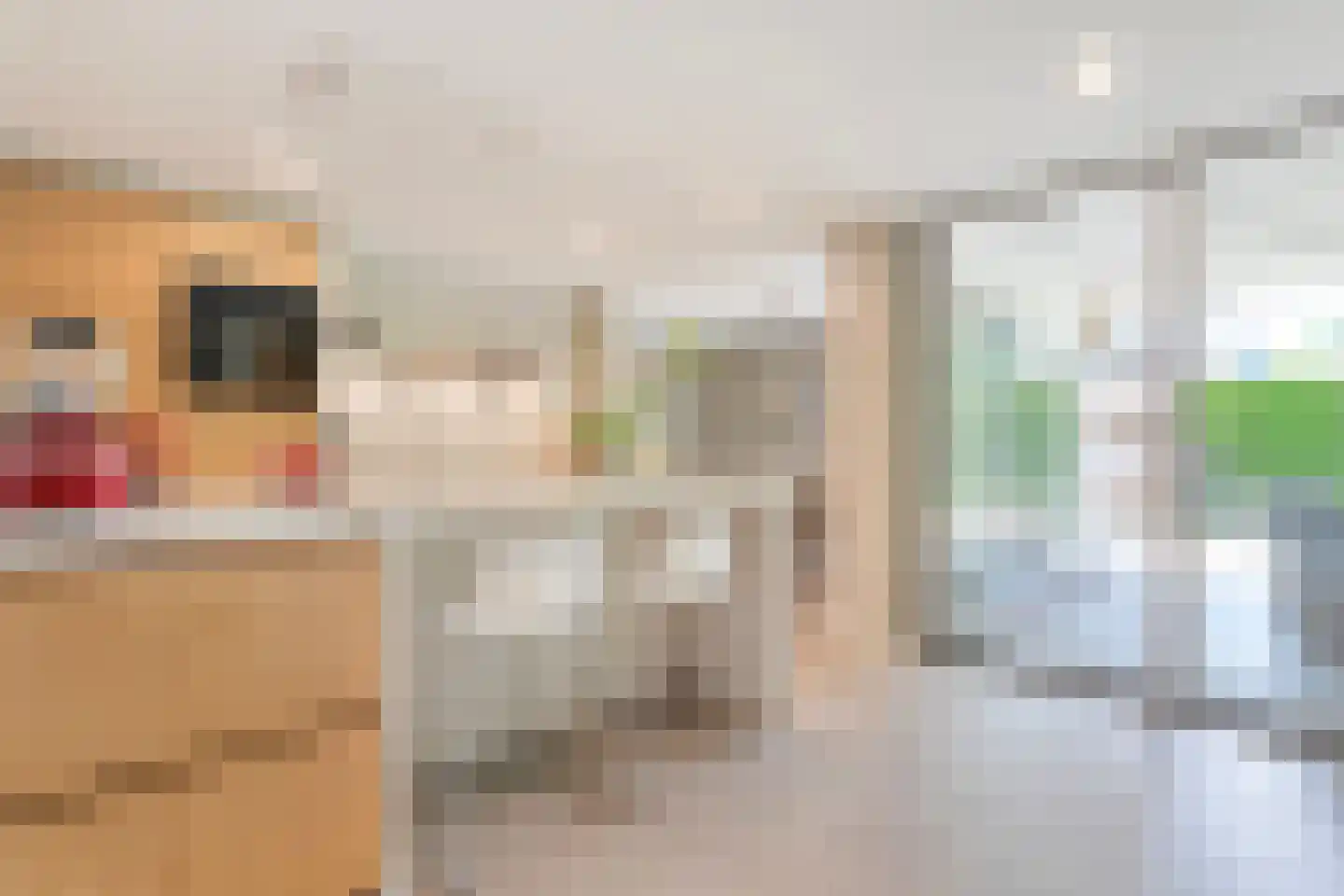 Schildhuisstraat 7 Tubbergen thumbnail 8