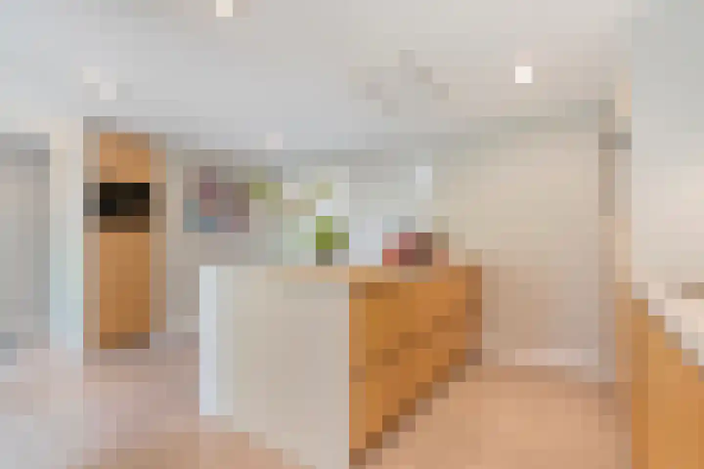 Schildhuisstraat 7 Tubbergen thumbnail 9