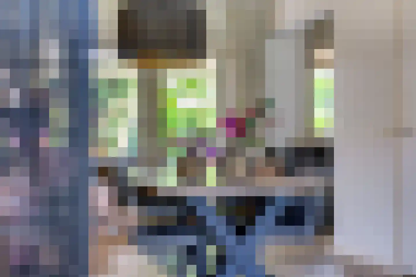 Schildhuisstraat 8 Tubbergen thumbnail 14