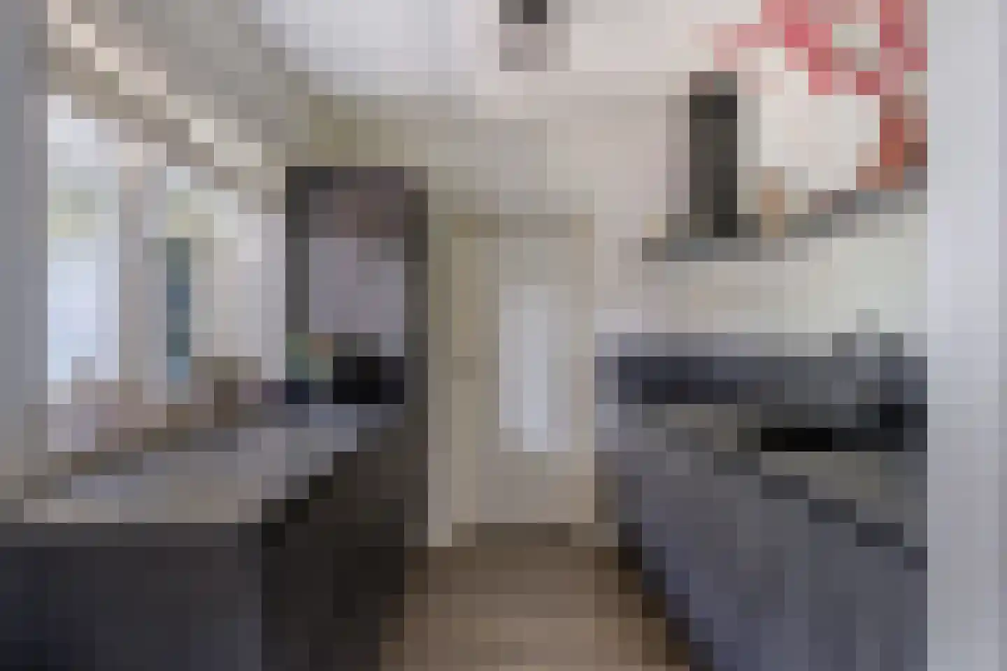 Schildhuisstraat 8 Tubbergen thumbnail 15