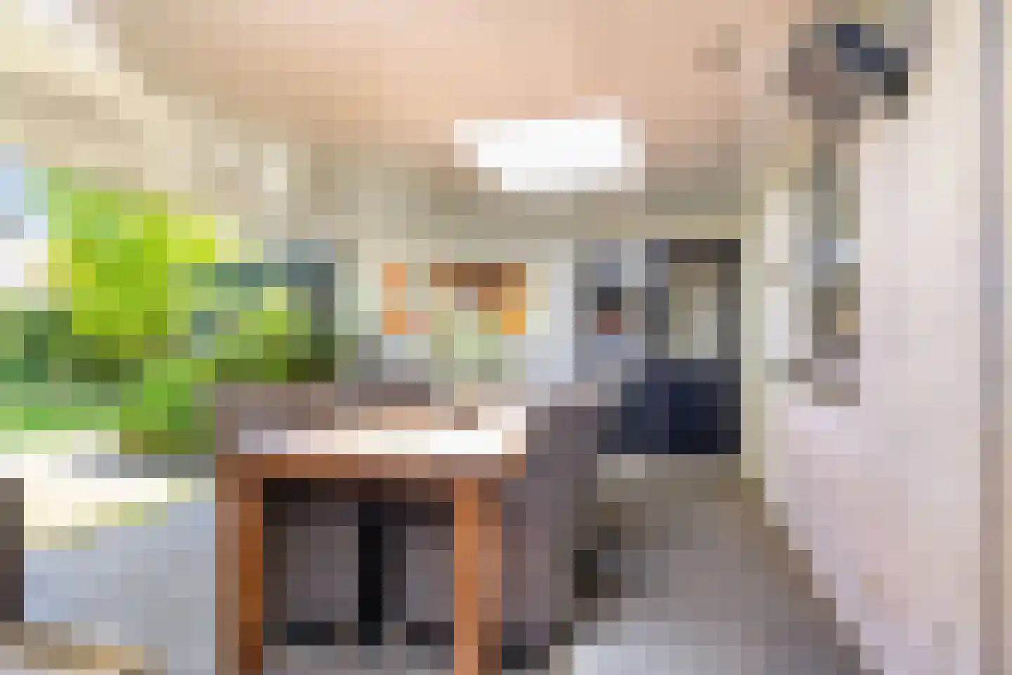 Schildhuisstraat 8 Tubbergen thumbnail 34