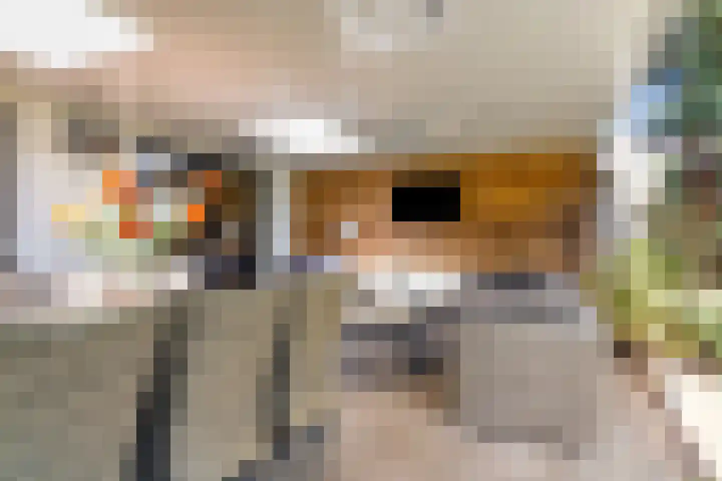 Schildhuisstraat 8 Tubbergen thumbnail 35