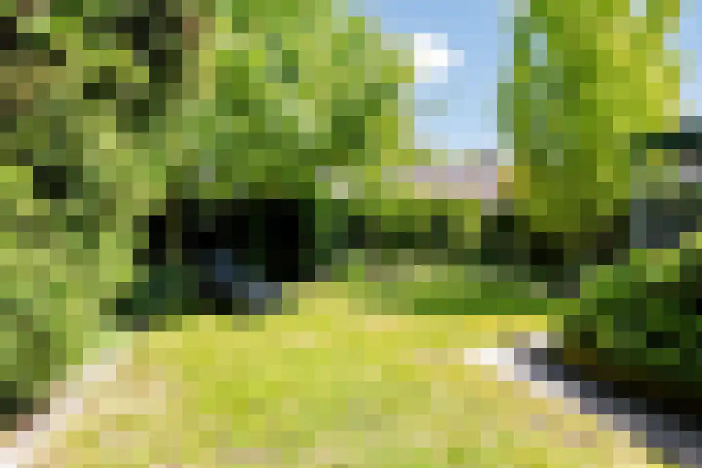 Schildhuisstraat 8 Tubbergen thumbnail 36