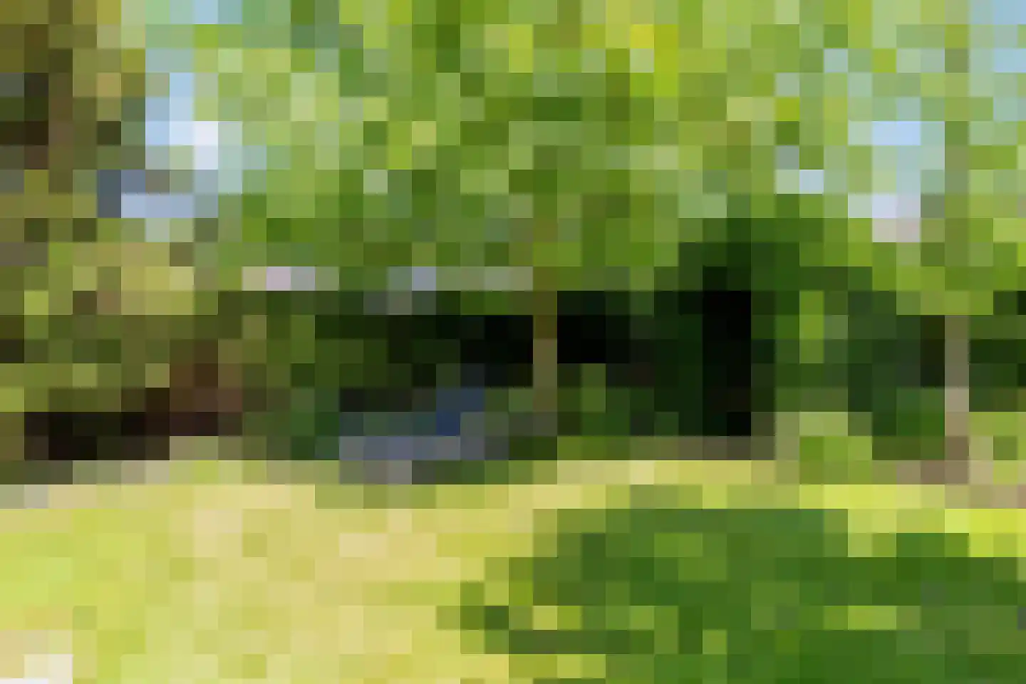 Schildhuisstraat 8 Tubbergen thumbnail 38