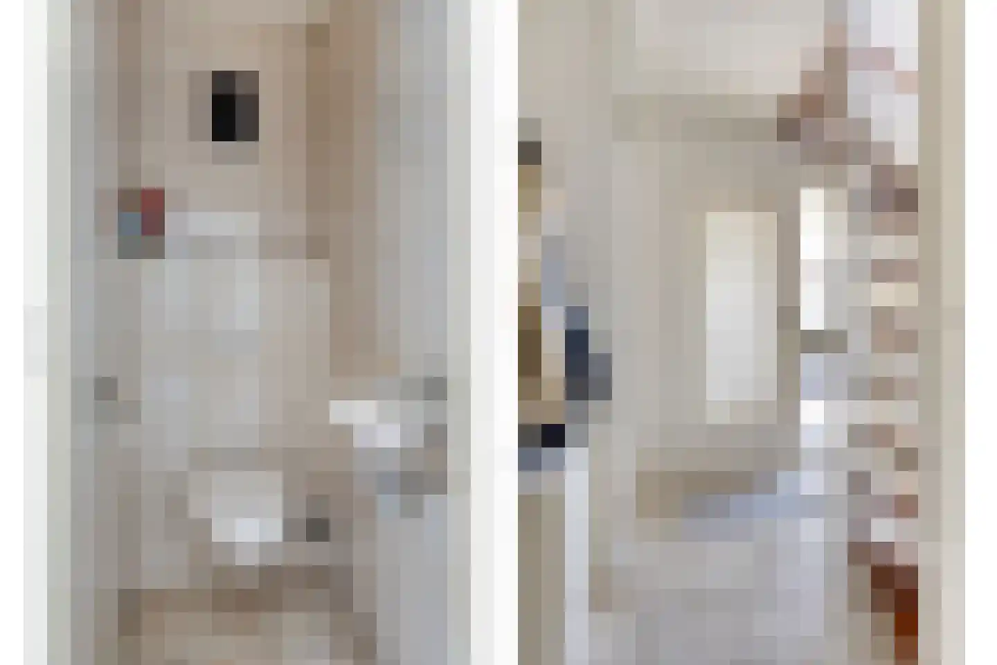 Schildhuisstraat 8 Tubbergen thumbnail 6