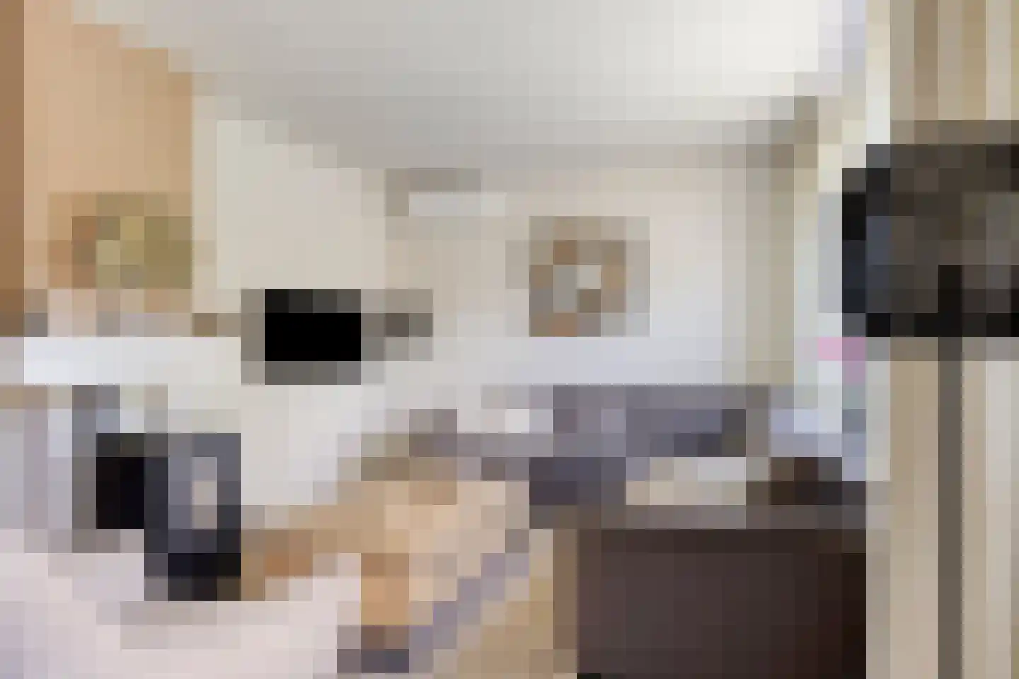 Schildhuisstraat 8 Tubbergen thumbnail 9