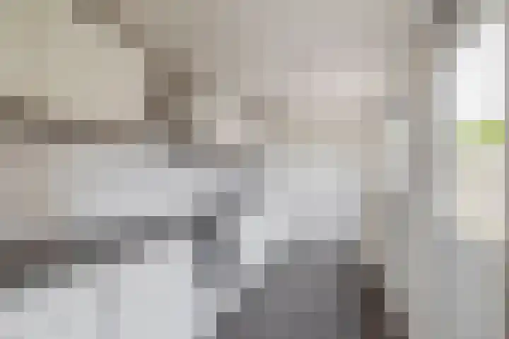 Schildkamp 2 Woldendorp thumbnail 16