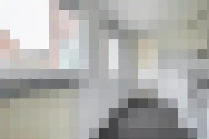 Schildkamp 2 Woldendorp thumbnail 18