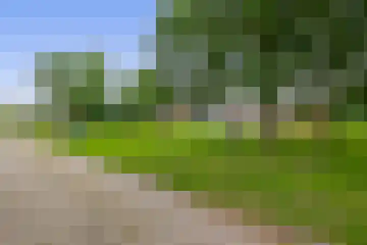 Schildkamp 2 Woldendorp thumbnail 4