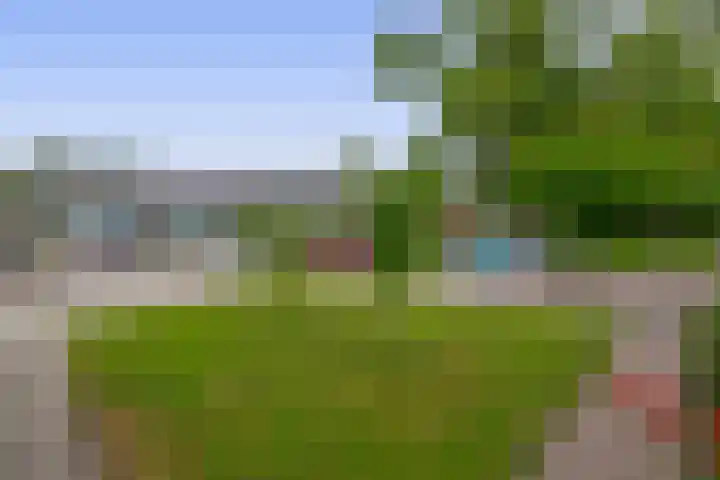 Schildkamp 2 Woldendorp thumbnail 5