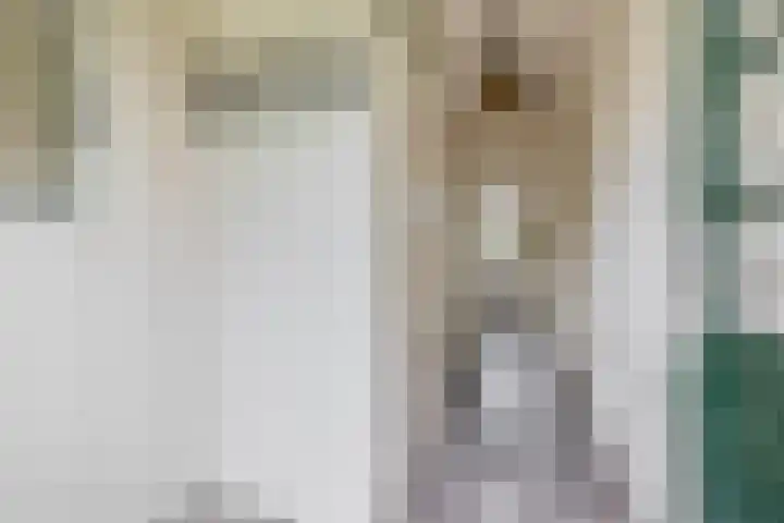 Schildkamp 2 Woldendorp thumbnail 7