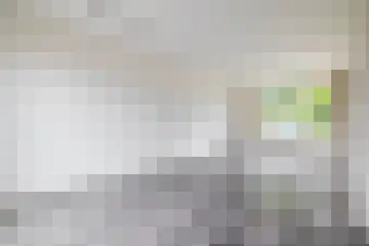 Schildkamp 2 Woldendorp thumbnail 9