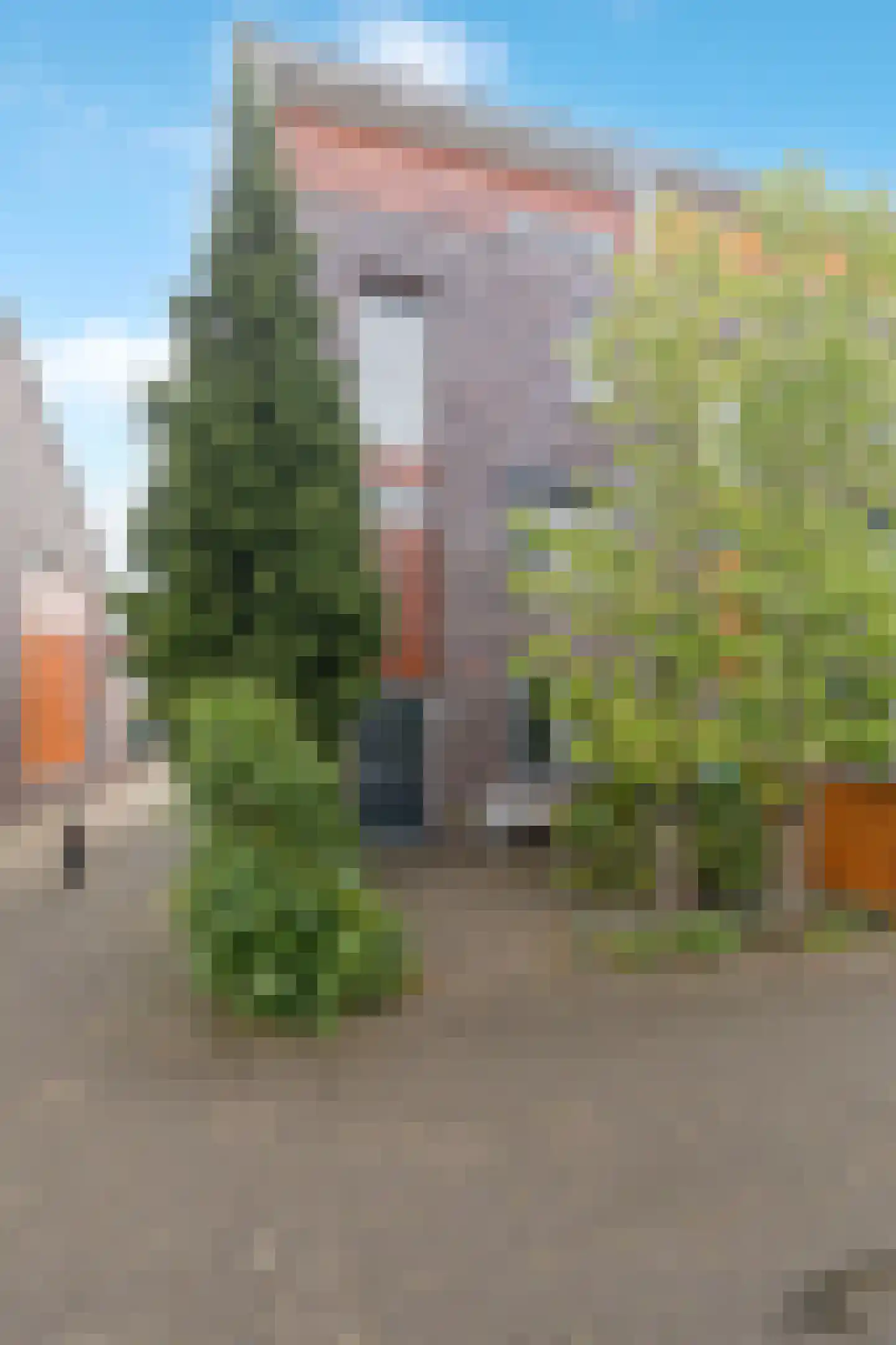 Schildmeer 27 Barendrecht thumbnail 41