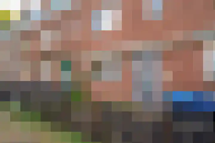 Schildmeer 3 Zaandam thumbnail 33