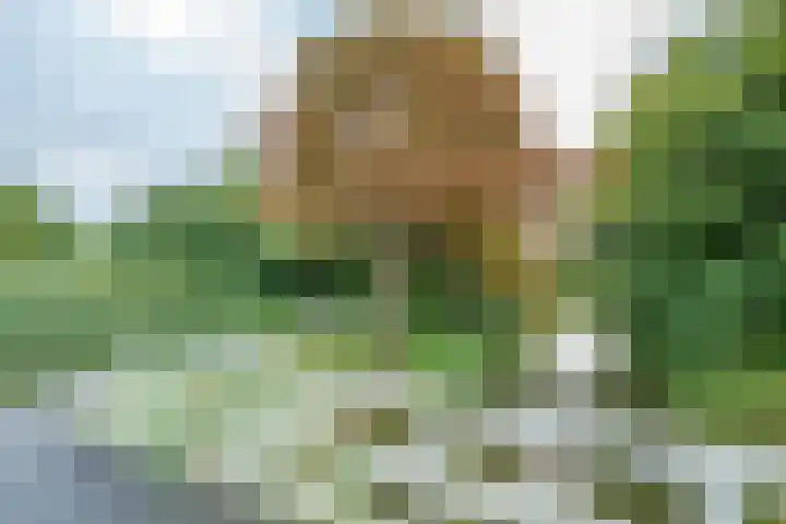 Schildmeer 3 Zaandam thumbnail 37