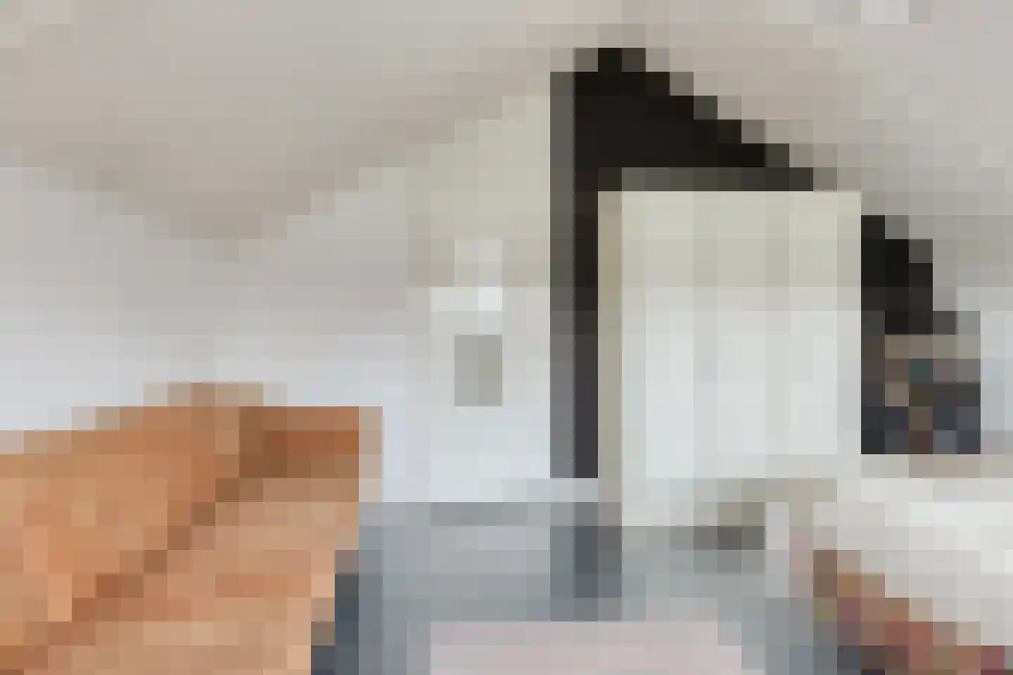 Schildmeer 35 Zaandam thumbnail 25