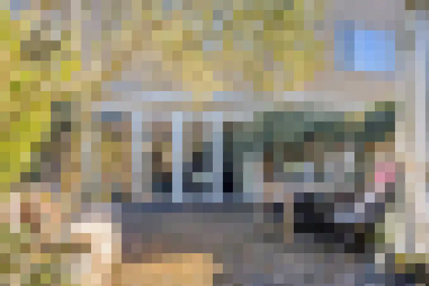 Schildmeer 35 Zaandam thumbnail 30