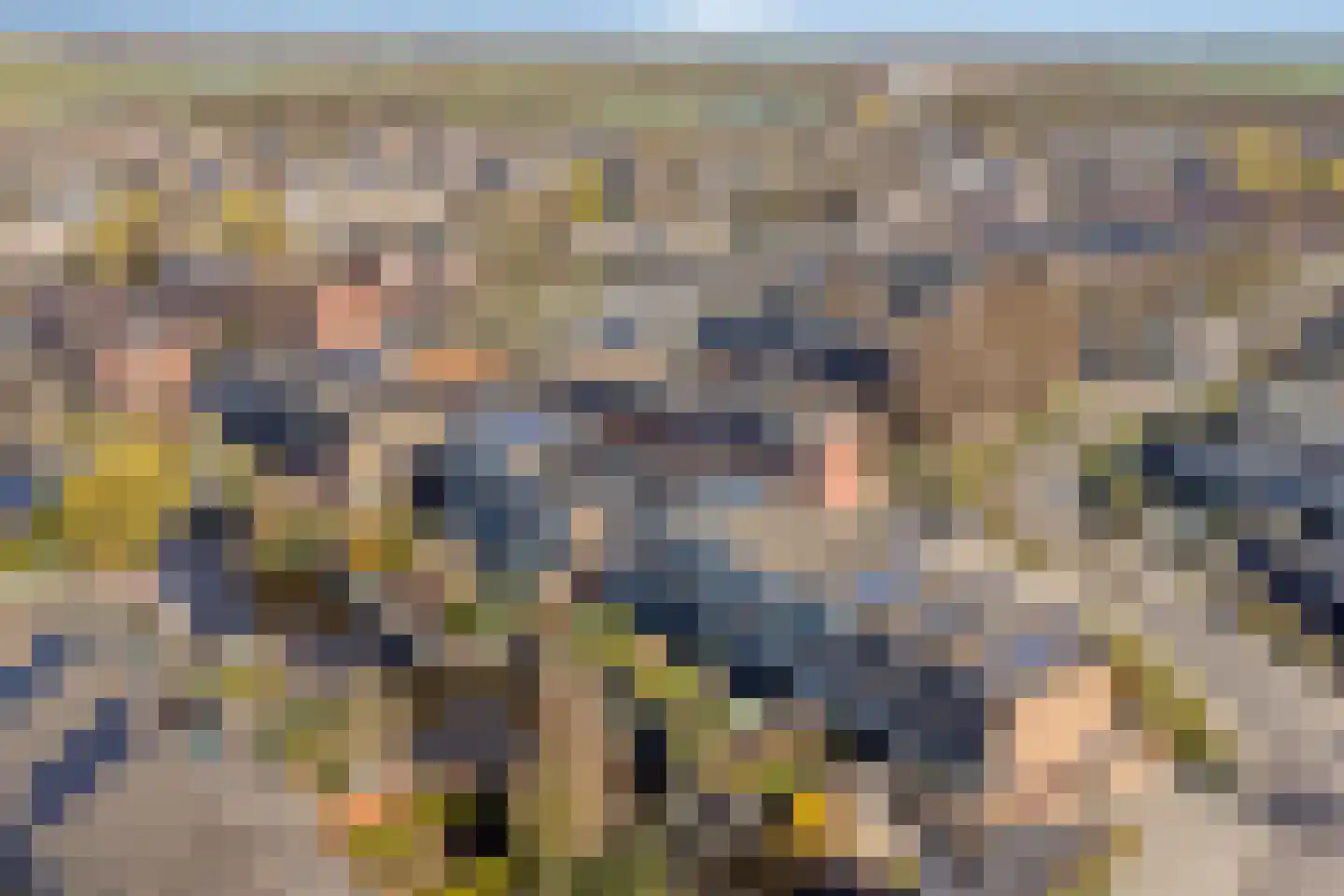 Schildmeer 35 Zaandam thumbnail 38