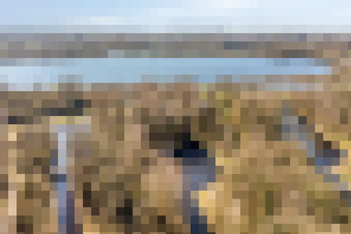 Schildmeer 35 Zaandam thumbnail 41
