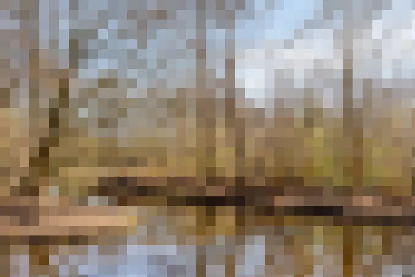 Schildmeer 35 Zaandam thumbnail 43