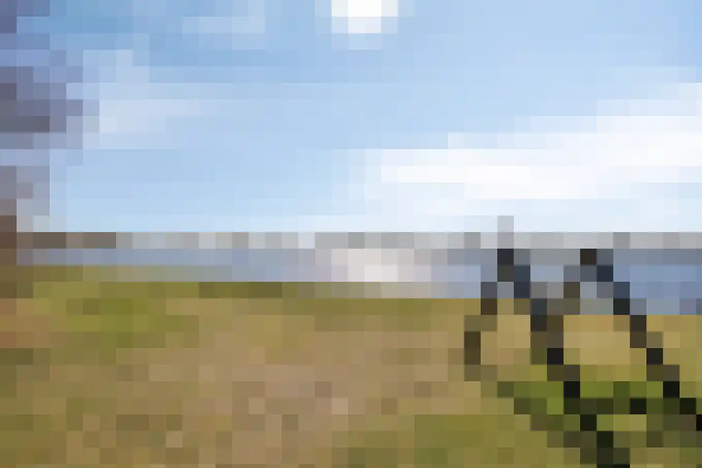 Schildmeer 35 Zaandam thumbnail 44