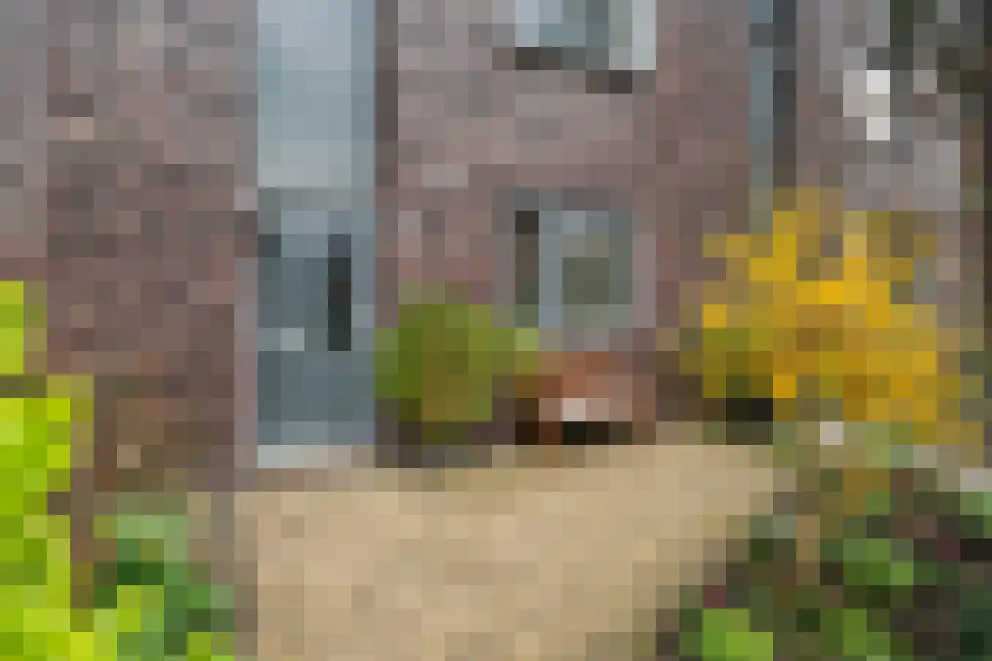 Schildmeer 55 Barendrecht thumbnail 27
