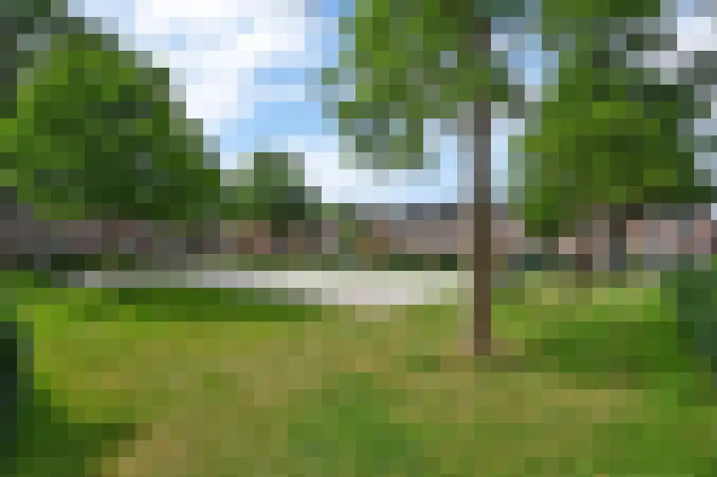Schildmeer 79 Rotterdam thumbnail 41