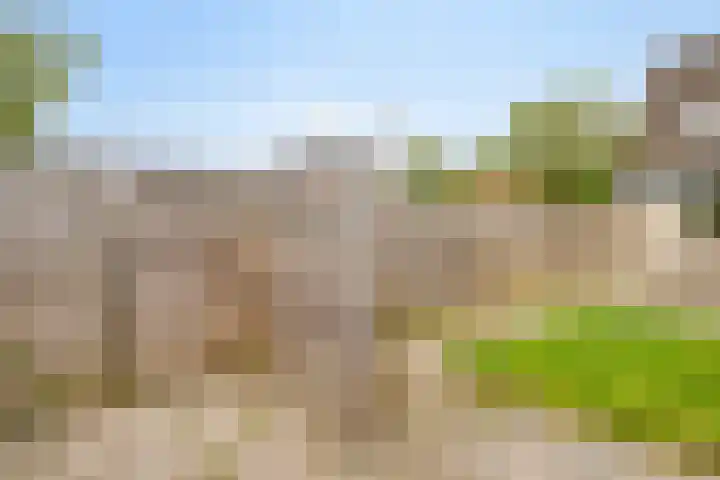 Schildmeerstraat 39 Almere thumbnail 31