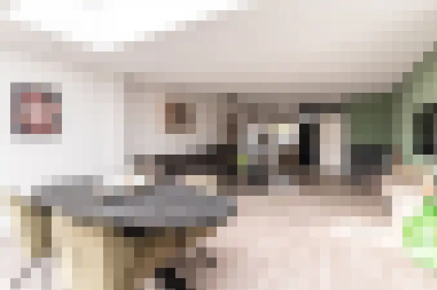 Schildmeerstraat 7 Almere thumbnail 7