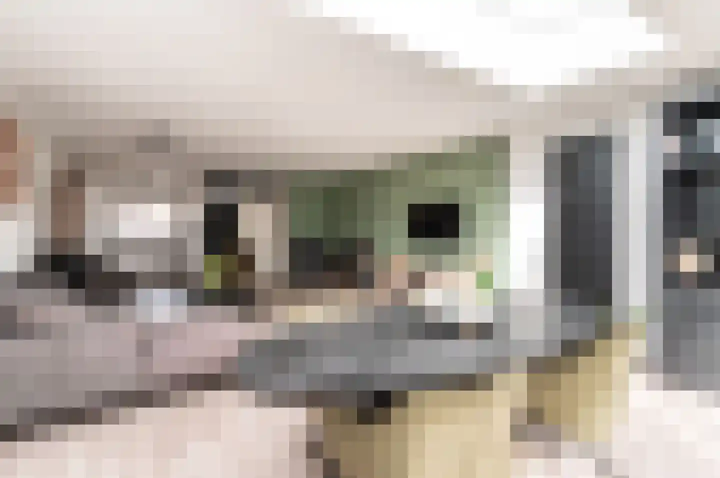 Schildmeerstraat 7 Almere thumbnail 8