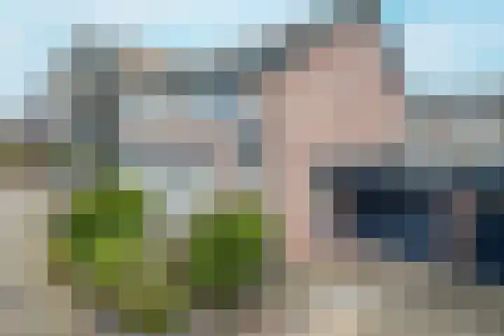 Schildmos 16 in Bergschenhoek