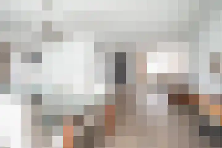 Schildmos 16 Bergschenhoek thumbnail 10