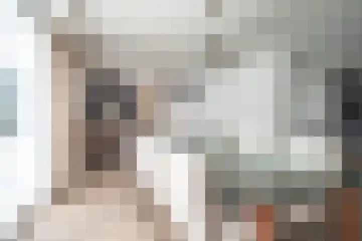 Schildmos 16 Bergschenhoek thumbnail 11
