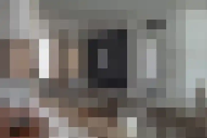 Schildmos 16 Bergschenhoek thumbnail 12