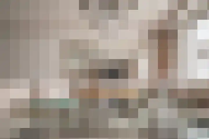 Schildmos 16 Bergschenhoek thumbnail 13